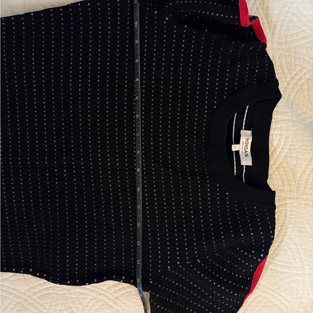 Morgan de Toi Black Dress with Red and Blue Details Large - Picture 6 of 13